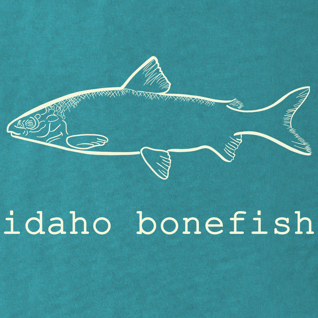 Bonefish Hoodie Back Print – Idaho Whitefish Joke Fly Fishing Pullover