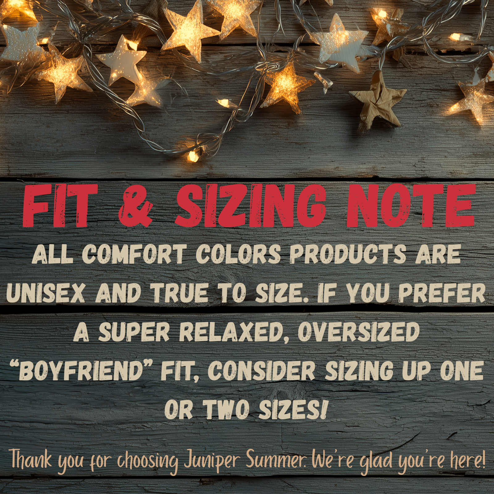 I Took a Walk T-Shirt — Vintage Mountain Scenic Tee