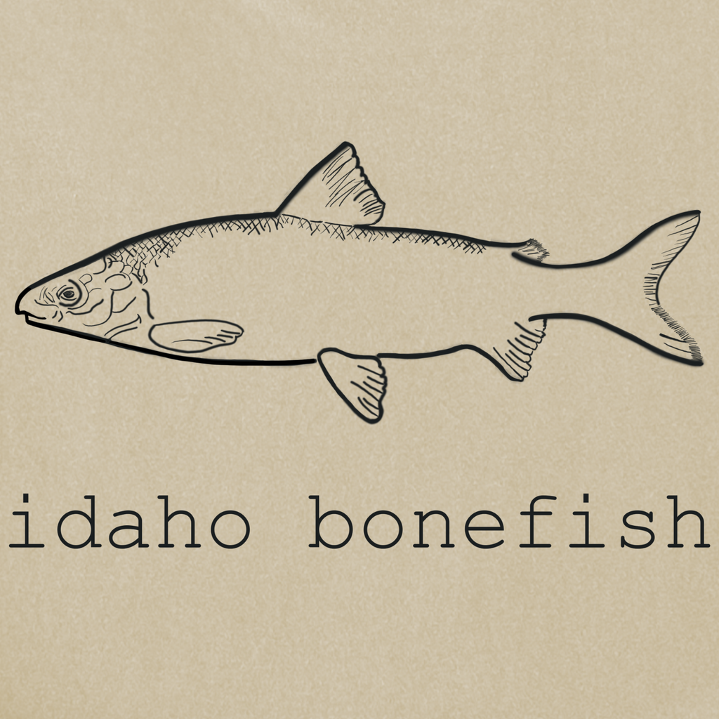 Idaho Bonefish Back Print T-Shirt — Vintage Fishing Graphic Tee