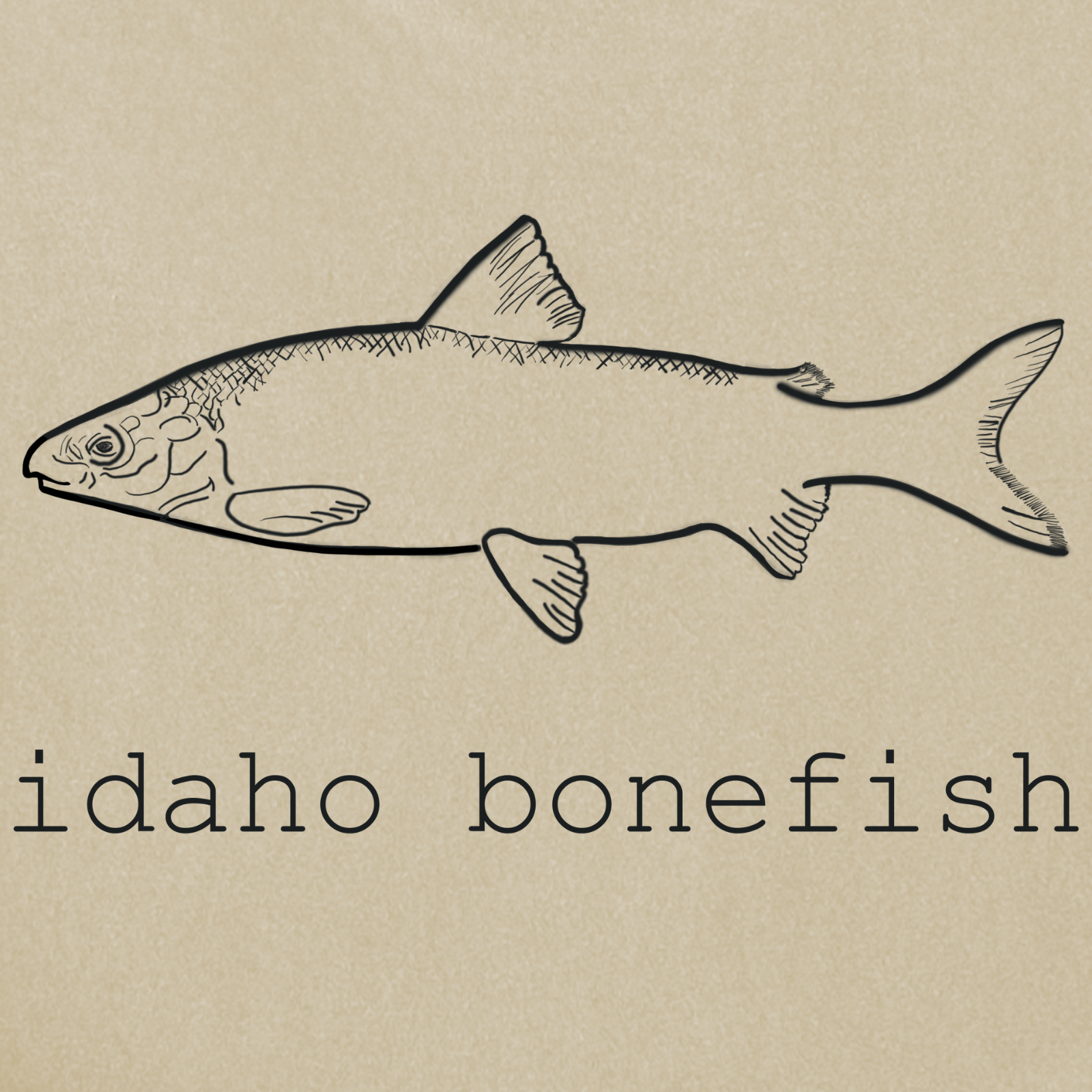 Idaho Bonefish Back Print T-Shirt — Vintage Fishing Graphic Tee