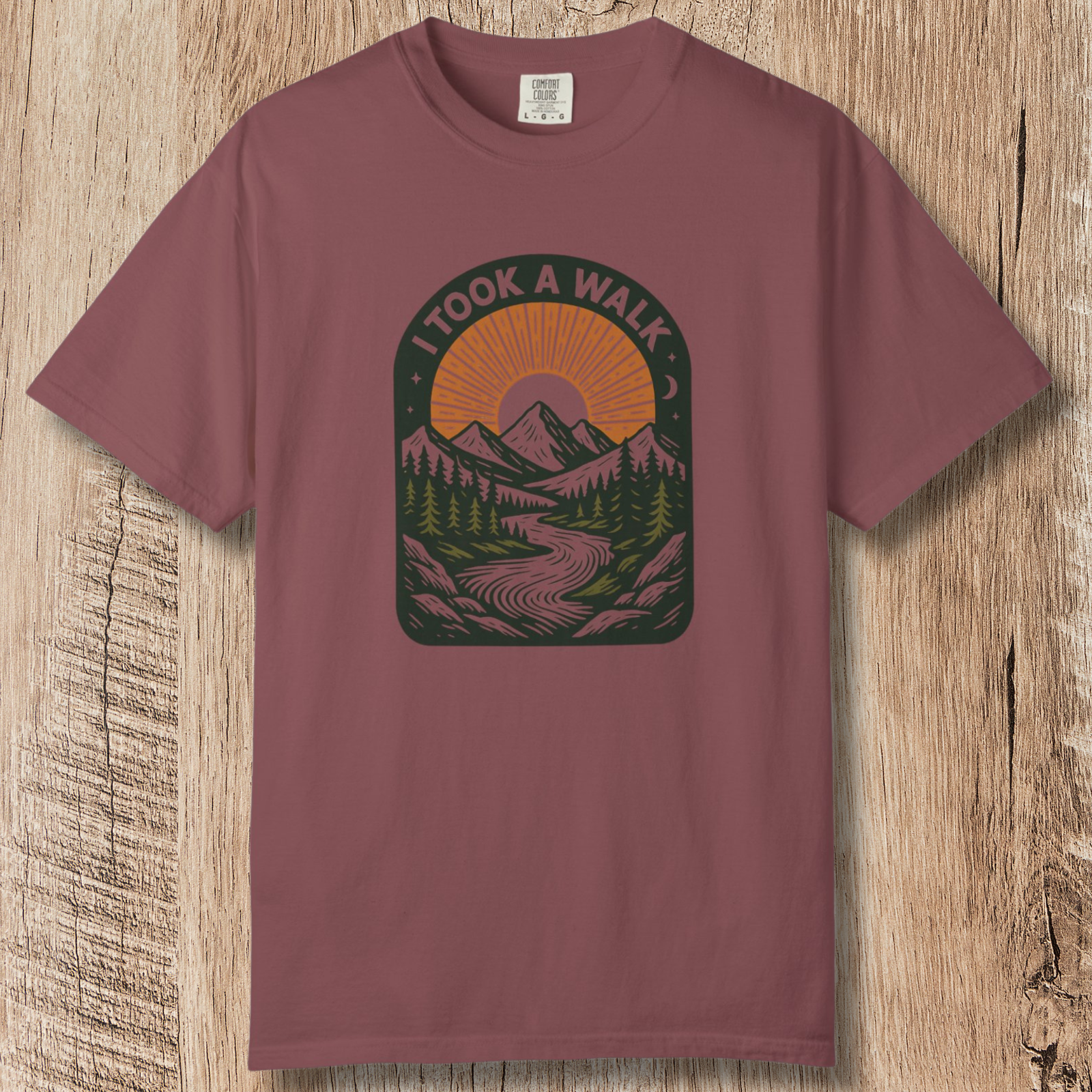 I Took a Walk T-Shirt — Vintage Mountain Scenic Tee