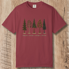 Lights in the Woods T-Shirt — Forest Lineup Winter Trees Graphic Tee