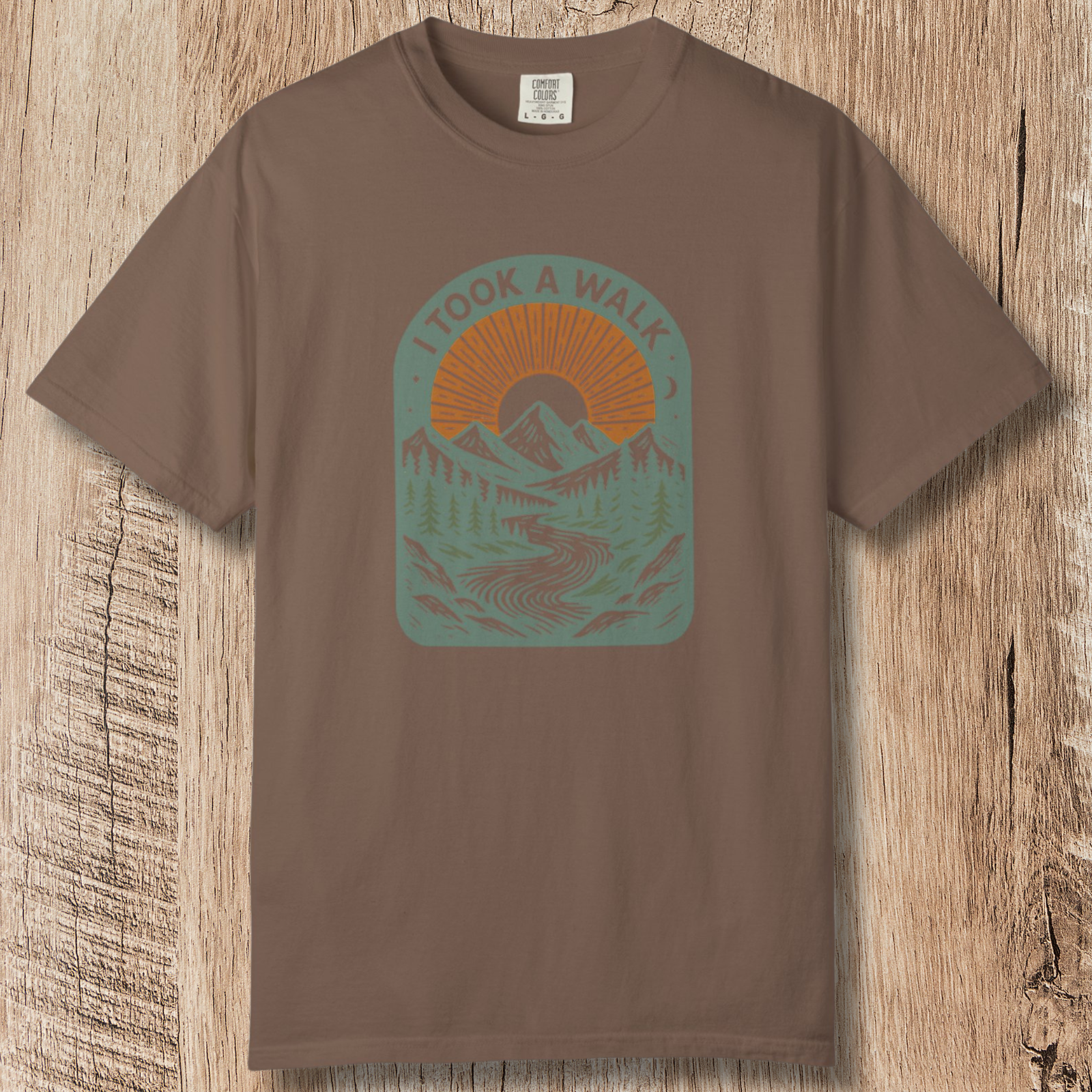 I Took a Walk T-Shirt — Vintage Mountain Scenic Tee