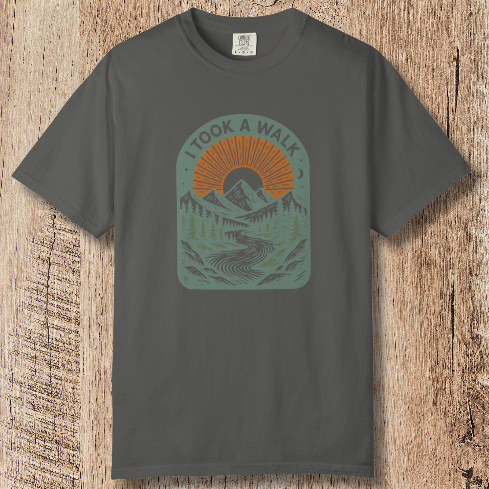 I Took a Walk T-Shirt — Vintage Mountain Scenic Tee