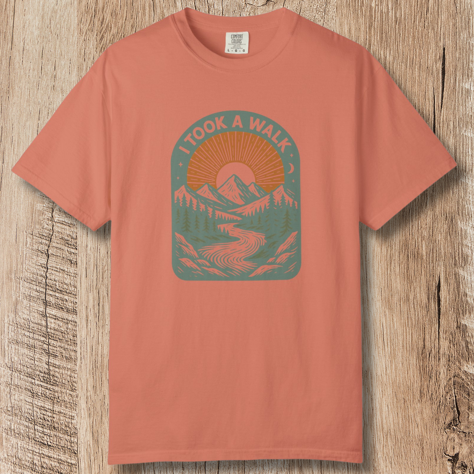 I Took a Walk T-Shirt — Vintage Mountain Scenic Tee